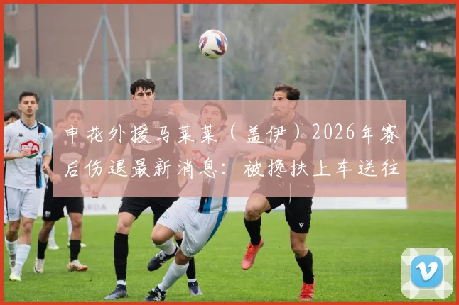 申花外援马莱莱（盖伊）2026年赛后伤退最新消息：被搀扶上车送往医院拍片，伤情进展与检查结果实时关注