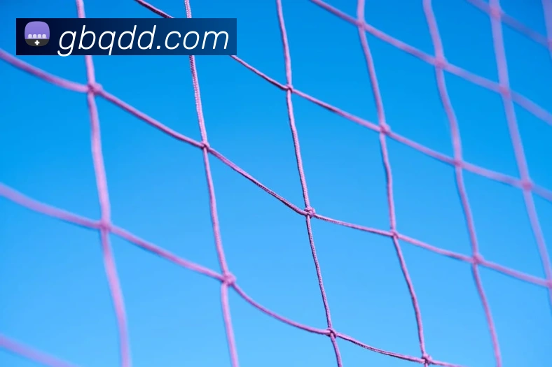 奖项4